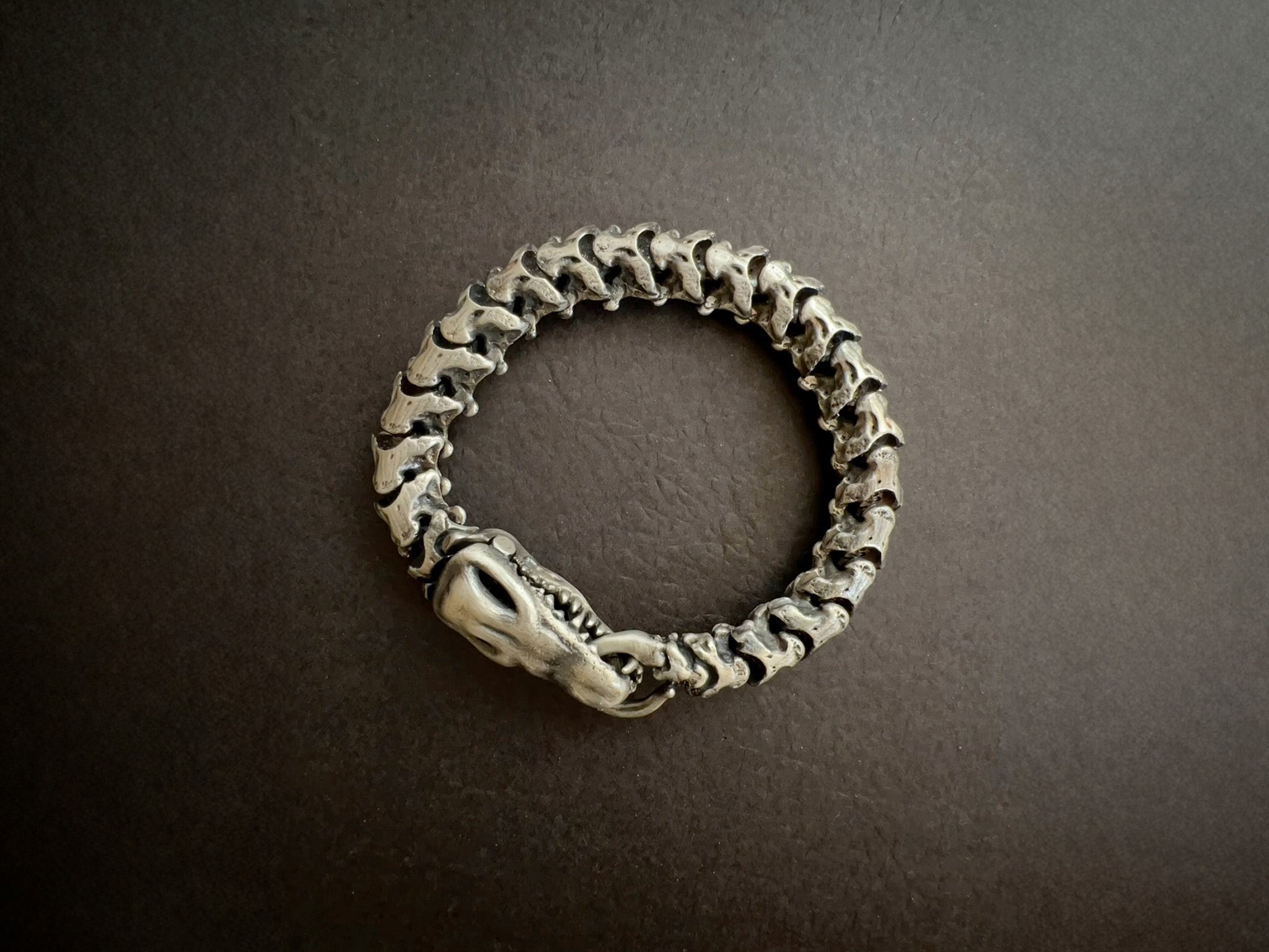 Snake Bones
